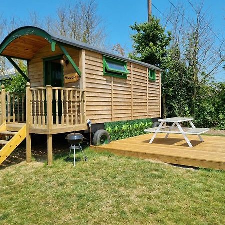 Woodie The Shepherds Hut - Sleeps 4 Chichester Ngoại thất bức ảnh