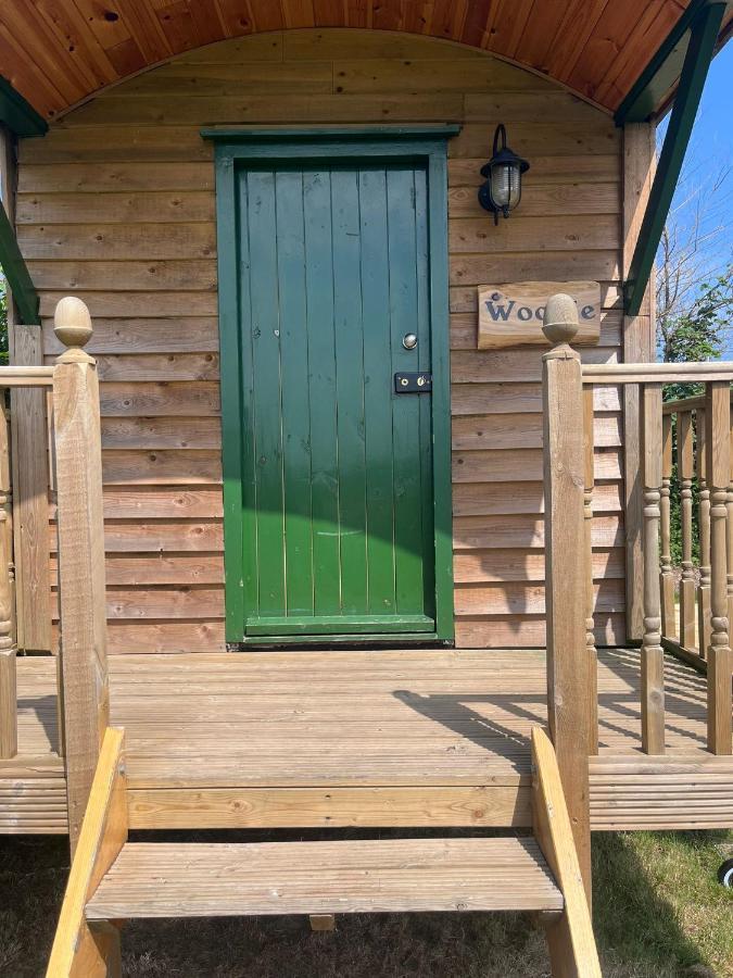 Woodie The Shepherds Hut - Sleeps 4 Chichester Ngoại thất bức ảnh