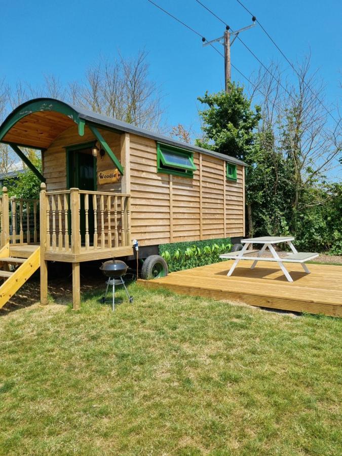Woodie The Shepherds Hut - Sleeps 4 Chichester Ngoại thất bức ảnh