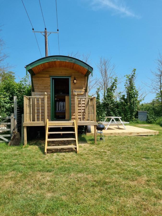 Woodie The Shepherds Hut - Sleeps 4 Chichester Ngoại thất bức ảnh
